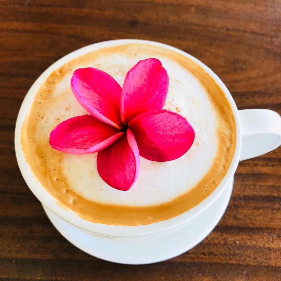 パボネス Cafe De La Suerteヴィラ エクステリア 写真